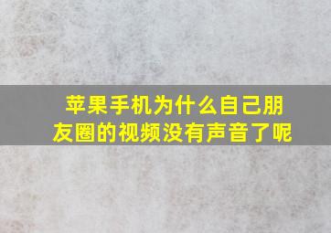 苹果手机为什么自己朋友圈的视频没有声音了呢