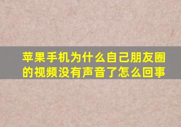 苹果手机为什么自己朋友圈的视频没有声音了怎么回事