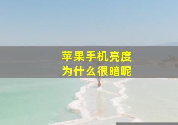 苹果手机亮度为什么很暗呢