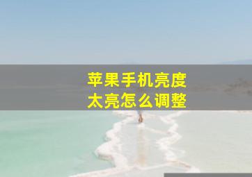 苹果手机亮度太亮怎么调整