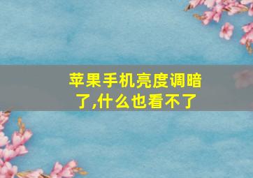 苹果手机亮度调暗了,什么也看不了