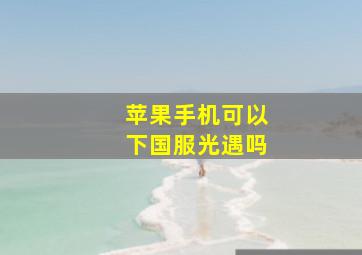 苹果手机可以下国服光遇吗