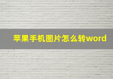 苹果手机图片怎么转word