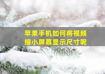 苹果手机如何将视频缩小屏幕显示尺寸呢