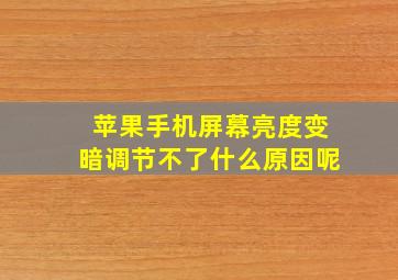 苹果手机屏幕亮度变暗调节不了什么原因呢