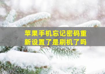 苹果手机忘记密码重新设置了是刷机了吗