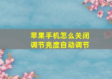 苹果手机怎么关闭调节亮度自动调节