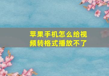 苹果手机怎么给视频转格式播放不了