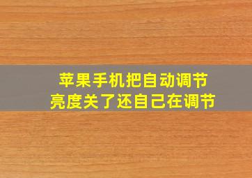 苹果手机把自动调节亮度关了还自己在调节