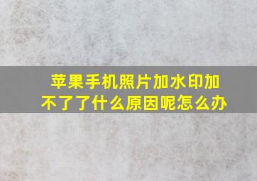 苹果手机照片加水印加不了了什么原因呢怎么办