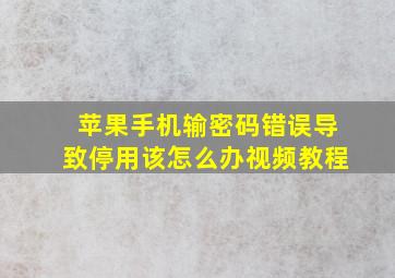 苹果手机输密码错误导致停用该怎么办视频教程