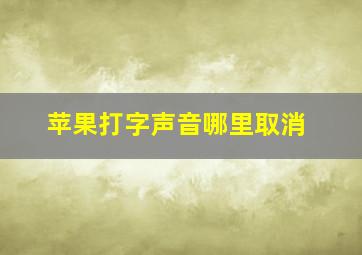 苹果打字声音哪里取消