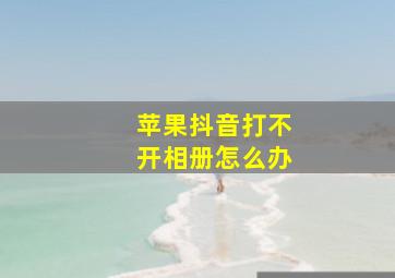 苹果抖音打不开相册怎么办