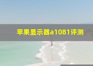 苹果显示器a1081评测