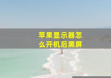 苹果显示器怎么开机后黑屏