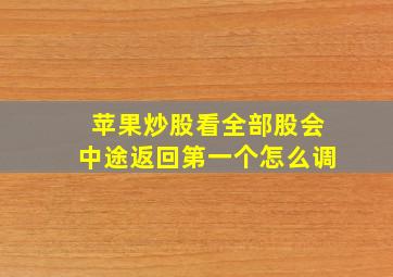 苹果炒股看全部股会中途返回第一个怎么调