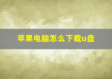 苹果电脑怎么下载u盘