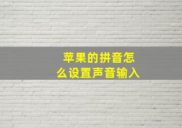 苹果的拼音怎么设置声音输入