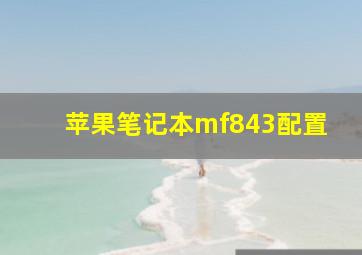 苹果笔记本mf843配置