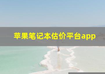 苹果笔记本估价平台app