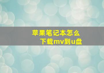 苹果笔记本怎么下载mv到u盘