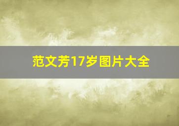 范文芳17岁图片大全