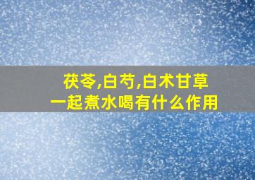 茯苓,白芍,白术甘草一起煮水喝有什么作用