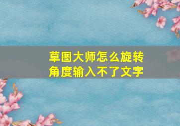 草图大师怎么旋转角度输入不了文字