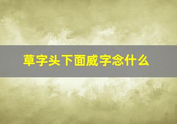 草字头下面威字念什么