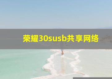 荣耀30susb共享网络