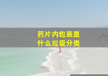 药片内包装是什么垃圾分类