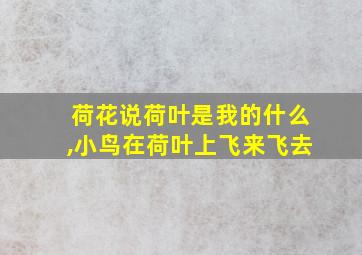 荷花说荷叶是我的什么,小鸟在荷叶上飞来飞去