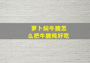 萝卜焖牛腩怎么把牛腩炖好吃