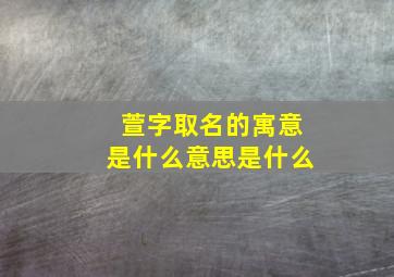 萱字取名的寓意是什么意思是什么