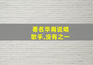 著名华裔说唱歌手,没有之一