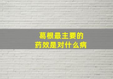 葛根最主要的药效是对什么病