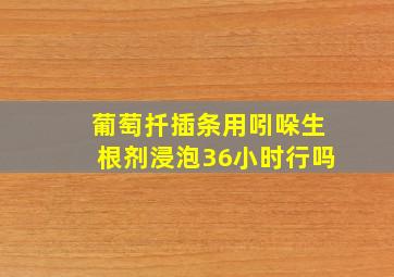 葡萄扦插条用吲哚生根剂浸泡36小时行吗