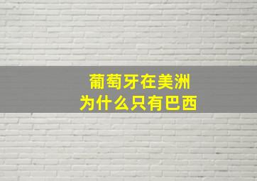 葡萄牙在美洲为什么只有巴西