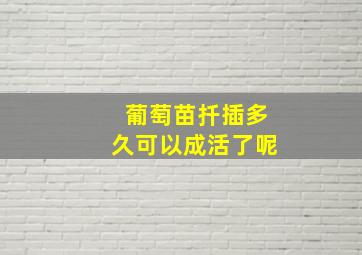 葡萄苗扦插多久可以成活了呢