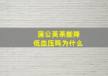 蒲公英茶能降低血压吗为什么