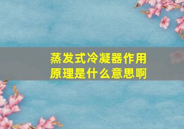 蒸发式冷凝器作用原理是什么意思啊