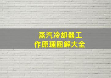 蒸汽冷却器工作原理图解大全