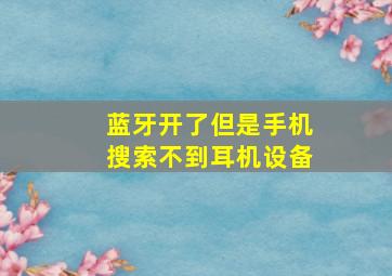 蓝牙开了但是手机搜索不到耳机设备