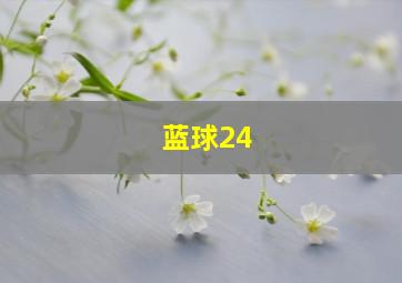 蓝球24