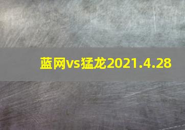 蓝网vs猛龙2021.4.28