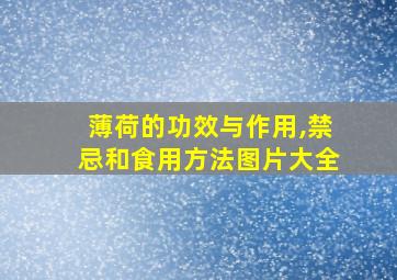 薄荷的功效与作用,禁忌和食用方法图片大全