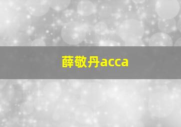 薛敬丹acca