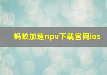 蚂蚁加速npv下载官网ios