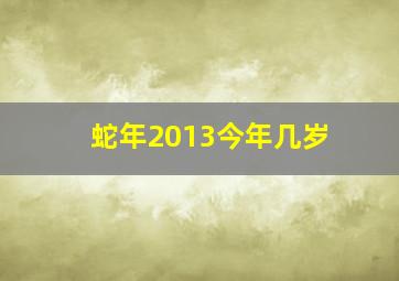 蛇年2013今年几岁