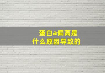 蛋白a偏高是什么原因导致的